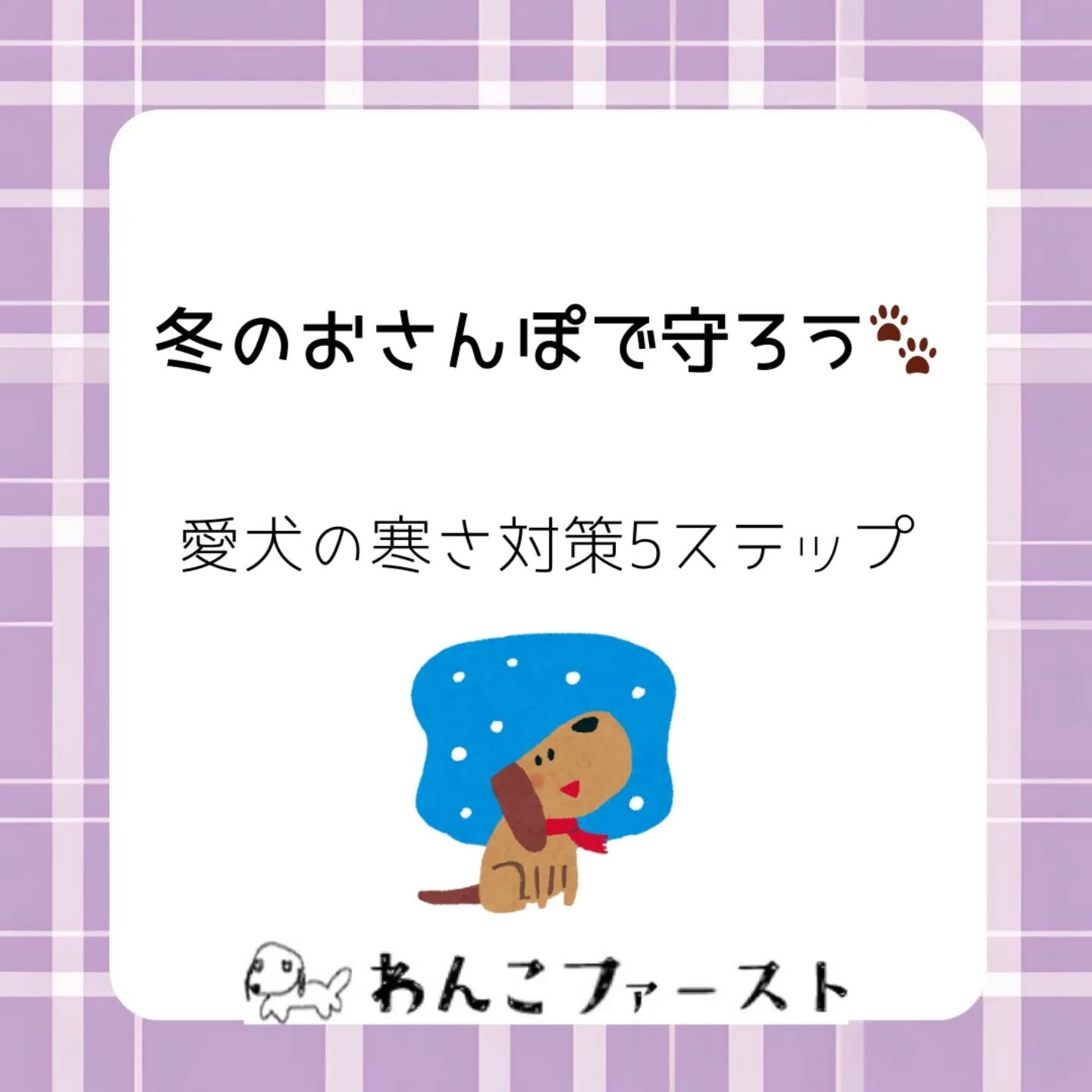 横浜市青葉区のペットシッターわんこファーストです♪