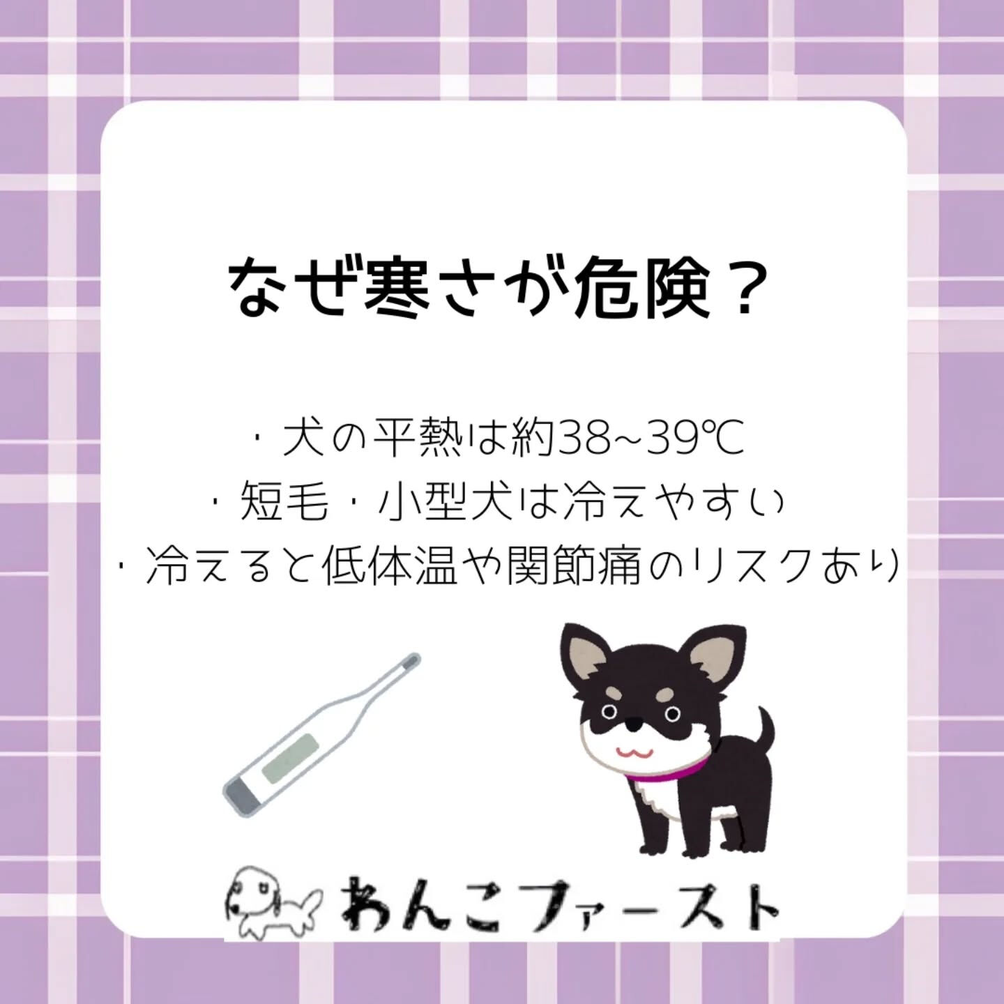 横浜市青葉区のペットシッターわんこファーストです♪