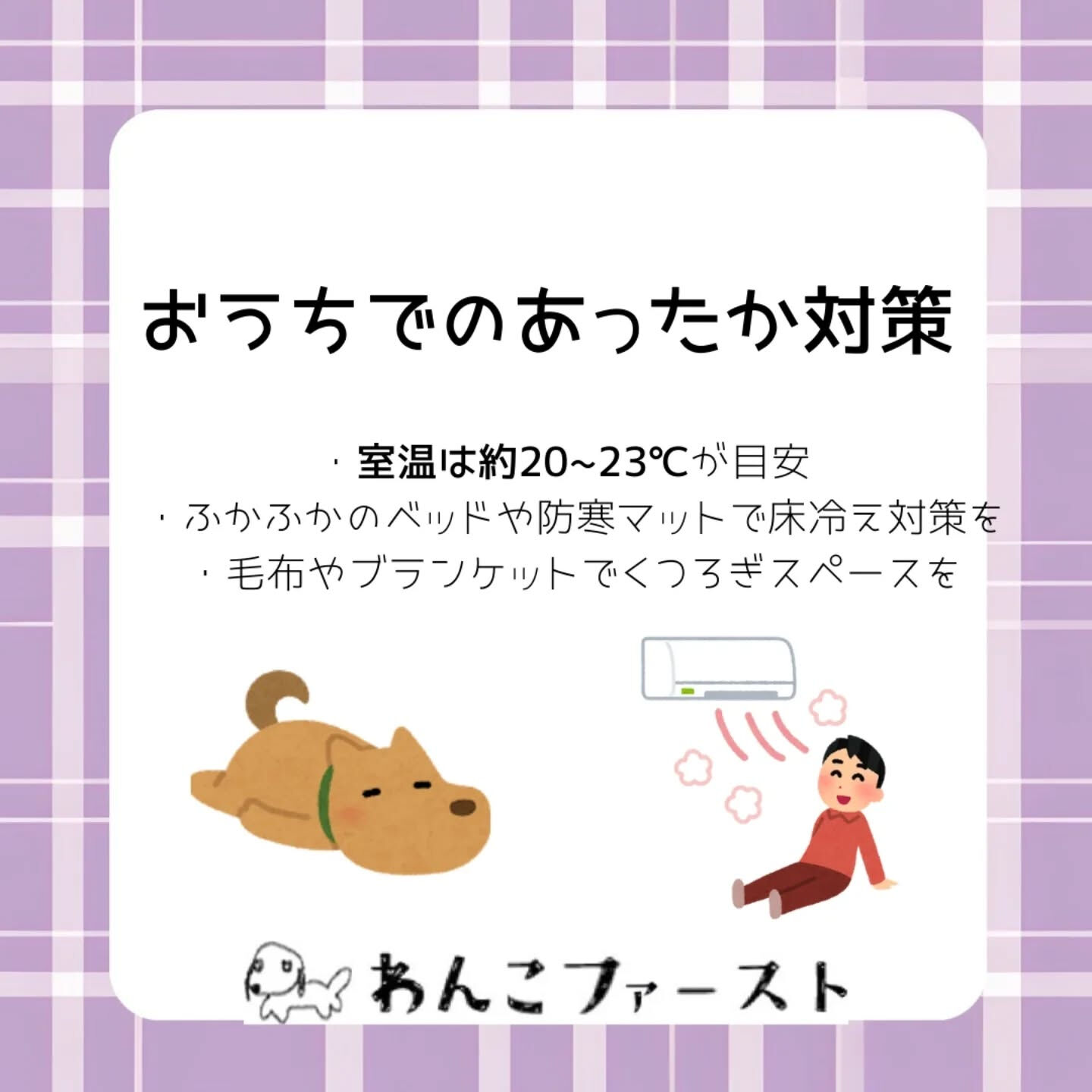 横浜市青葉区のペットシッターわんこファーストです♪