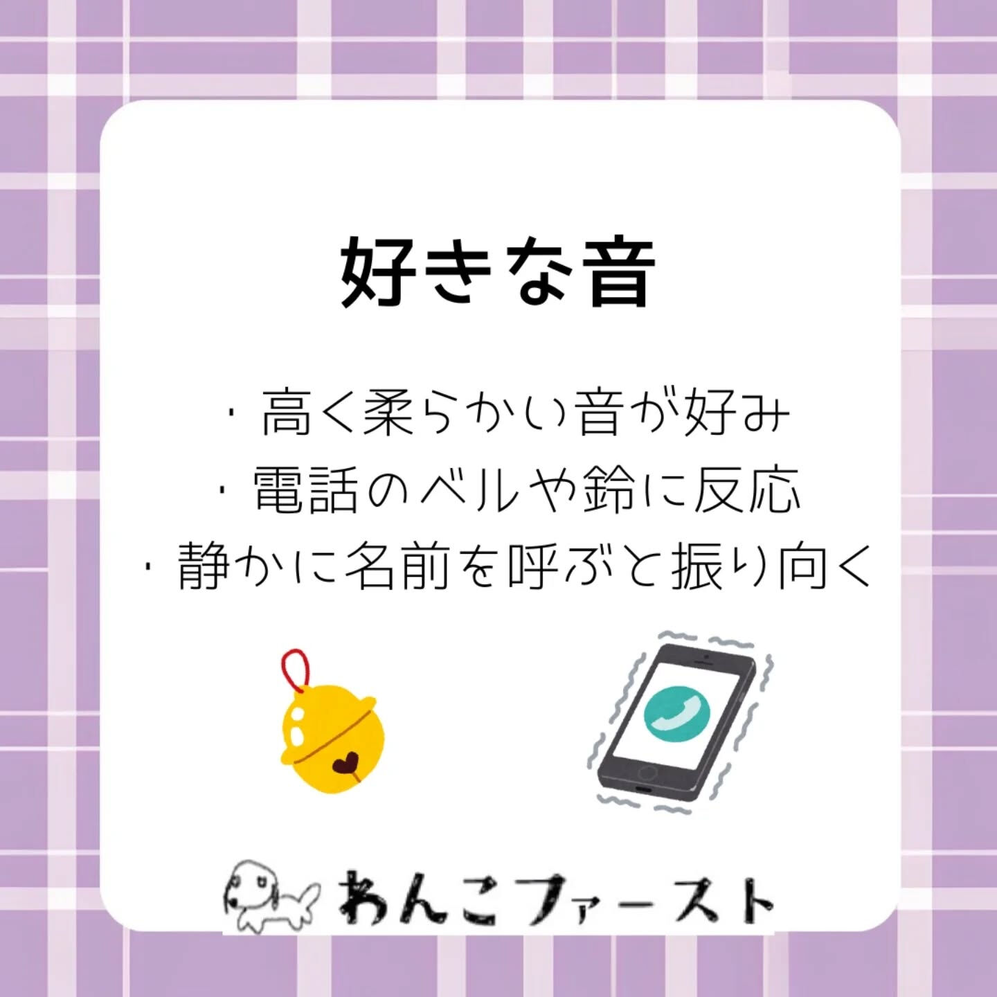 横浜市青葉区のペットシッターわんこファーストです♪