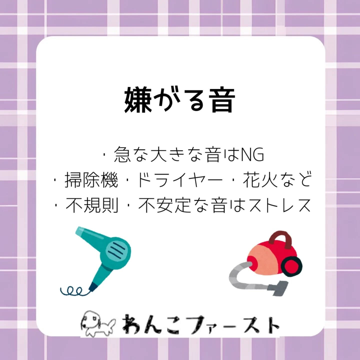 横浜市青葉区のペットシッターわんこファーストです♪