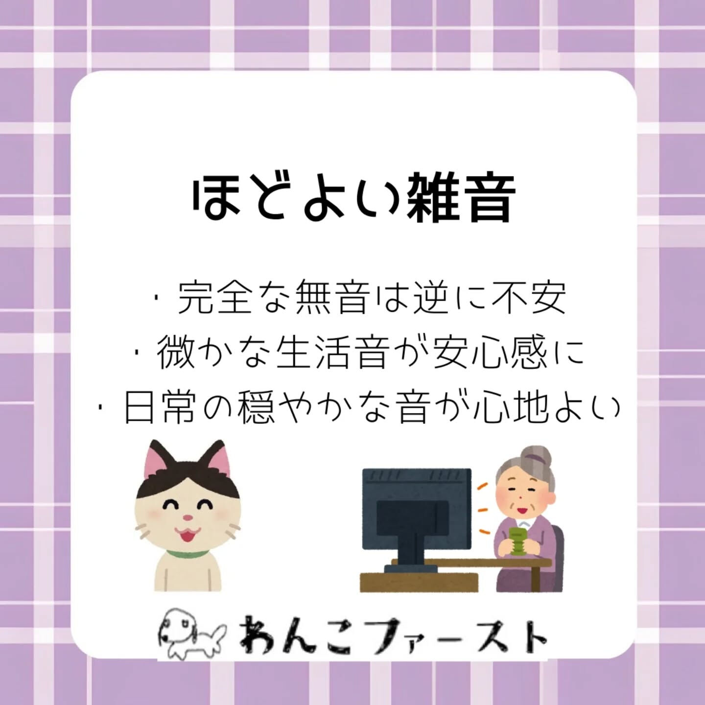 横浜市青葉区のペットシッターわんこファーストです♪