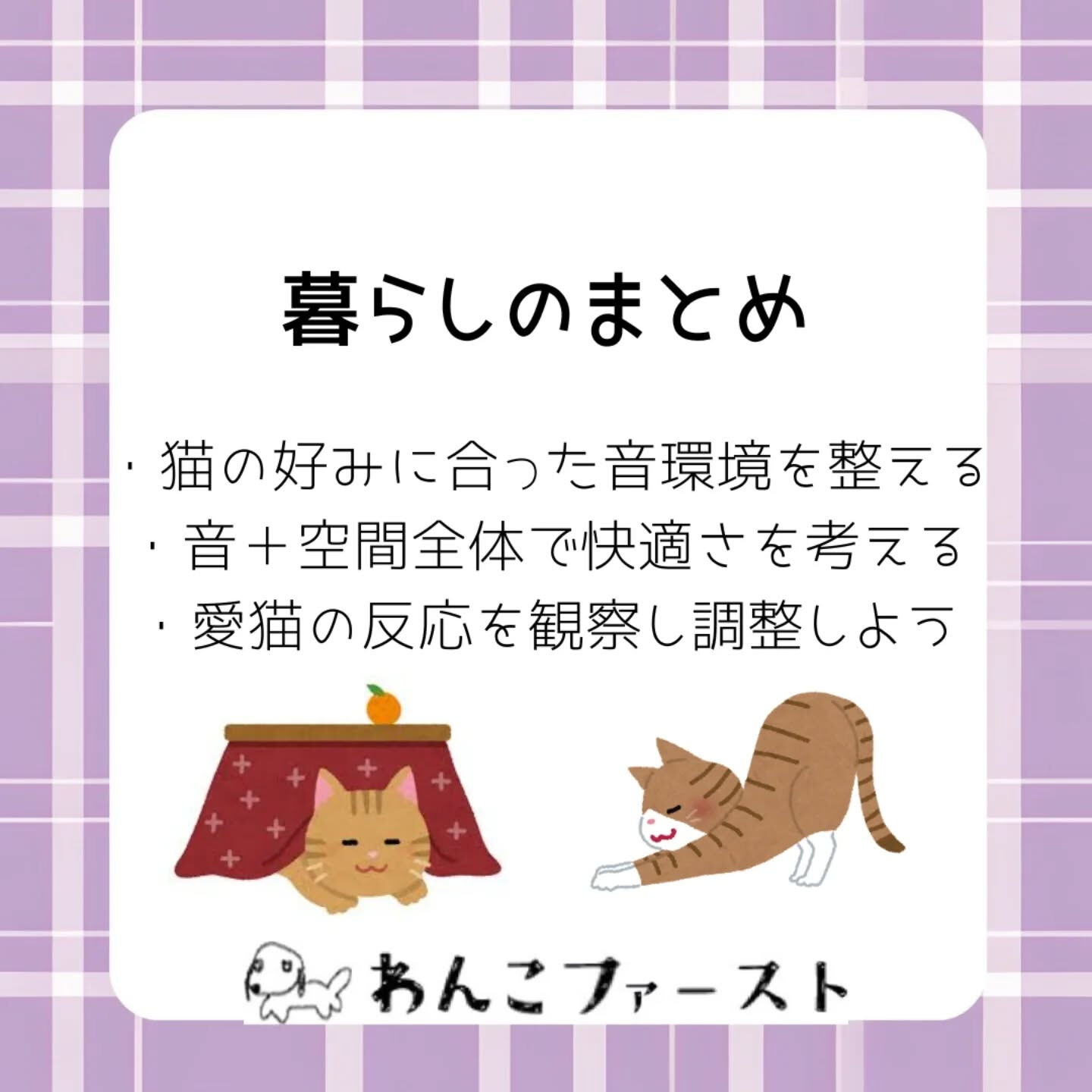 横浜市青葉区のペットシッターわんこファーストです♪