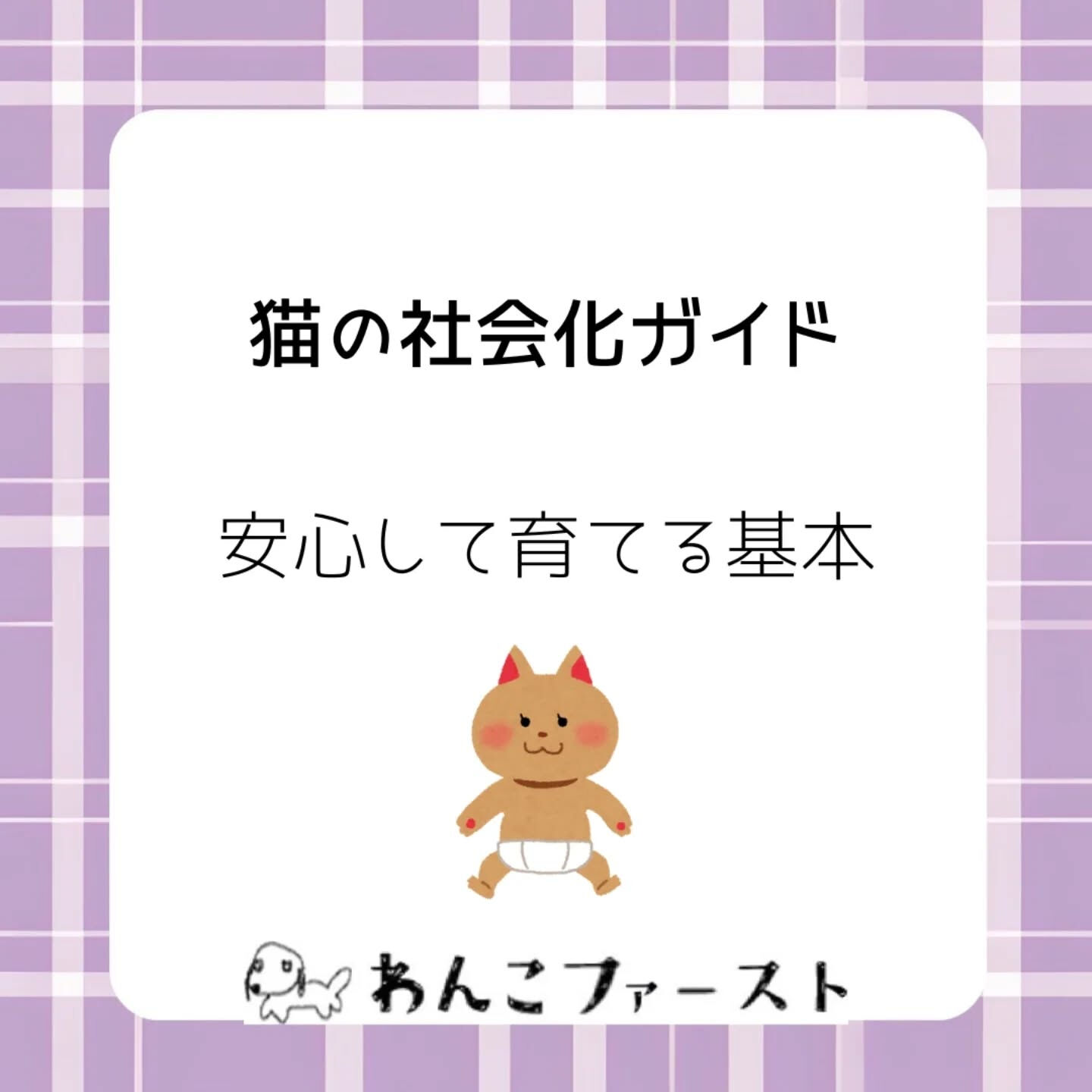 横浜市青葉区のペットシッターわんこファーストです♪