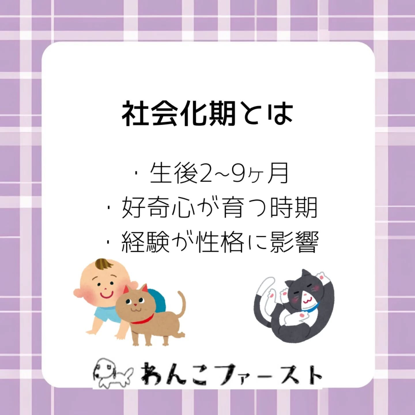 横浜市青葉区のペットシッターわんこファーストです♪