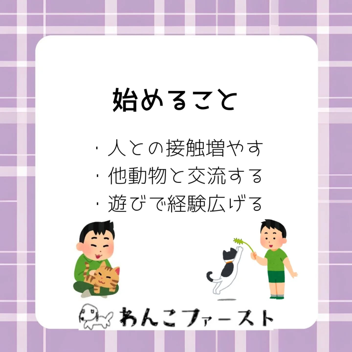 横浜市青葉区のペットシッターわんこファーストです♪