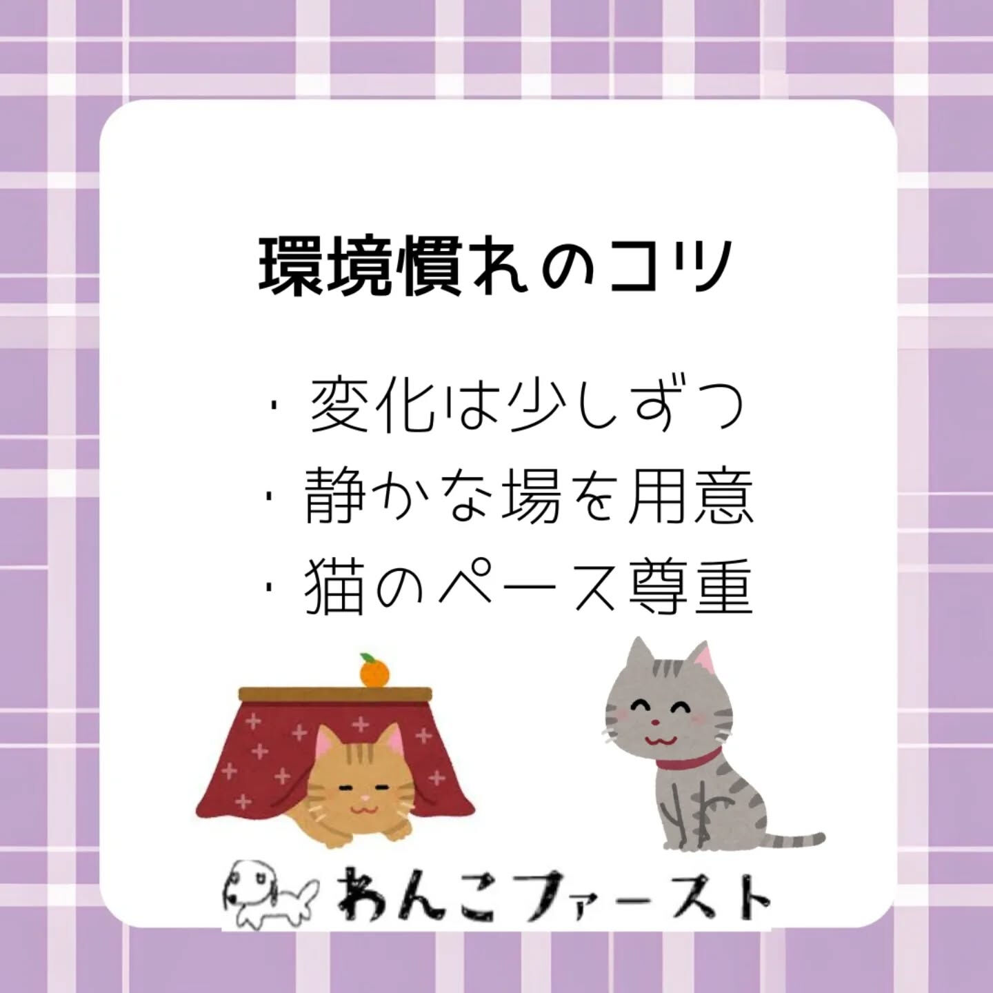 横浜市青葉区のペットシッターわんこファーストです♪