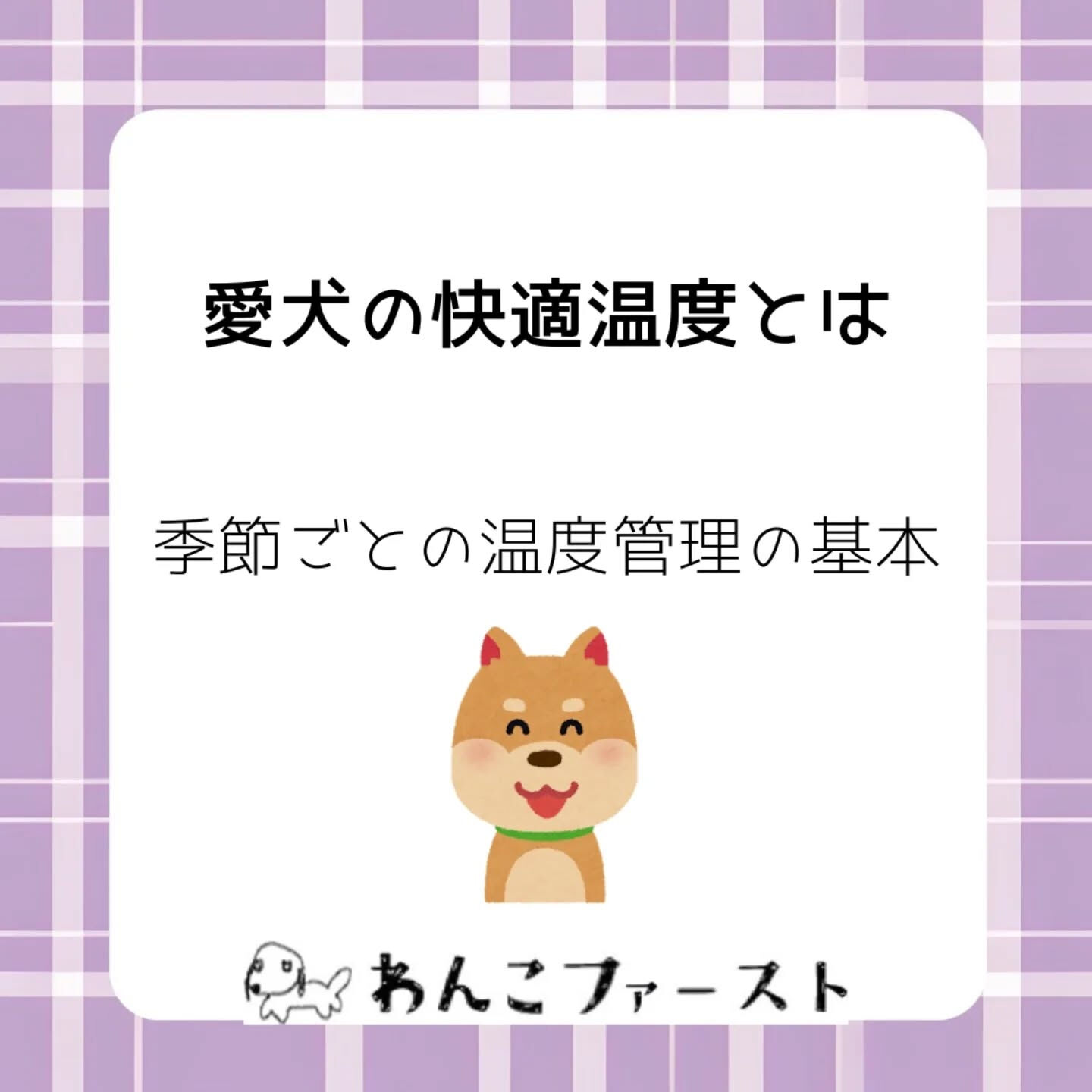 横浜市青葉区のペットシッターわんこファーストです♪