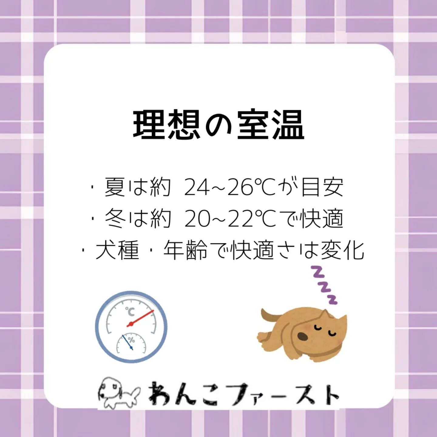 横浜市青葉区のペットシッターわんこファーストです♪