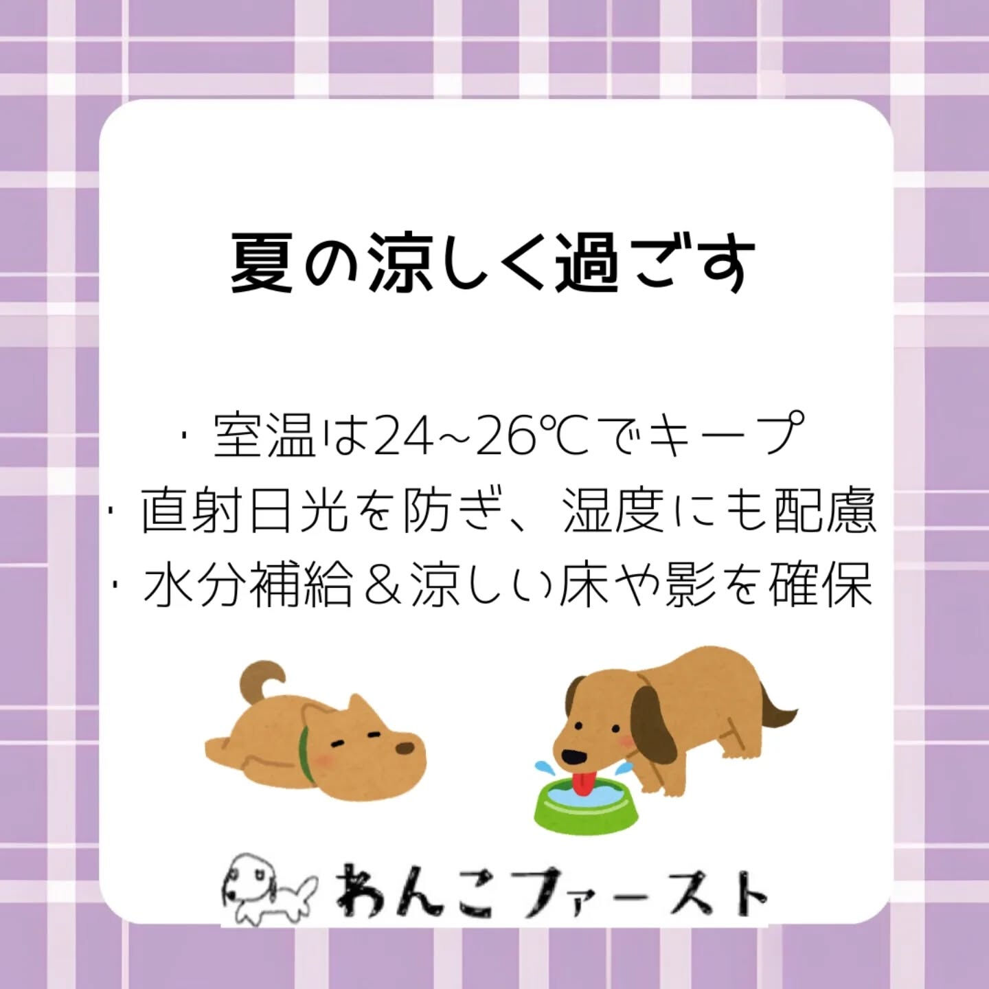 横浜市青葉区のペットシッターわんこファーストです♪