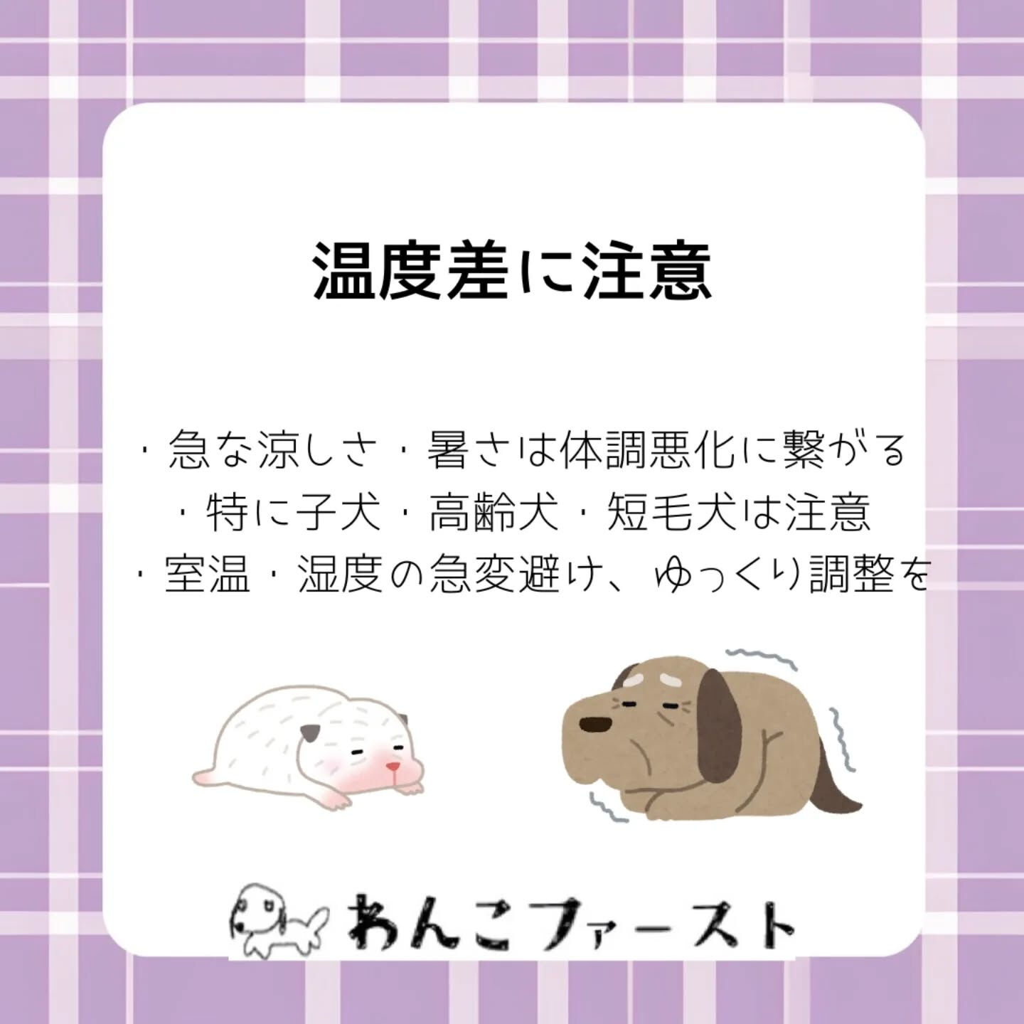 横浜市青葉区のペットシッターわんこファーストです♪