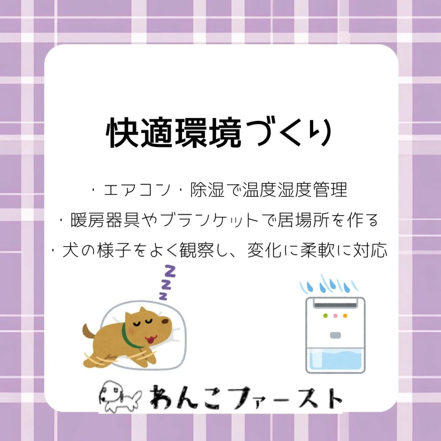横浜市青葉区のペットシッターわんこファーストです♪