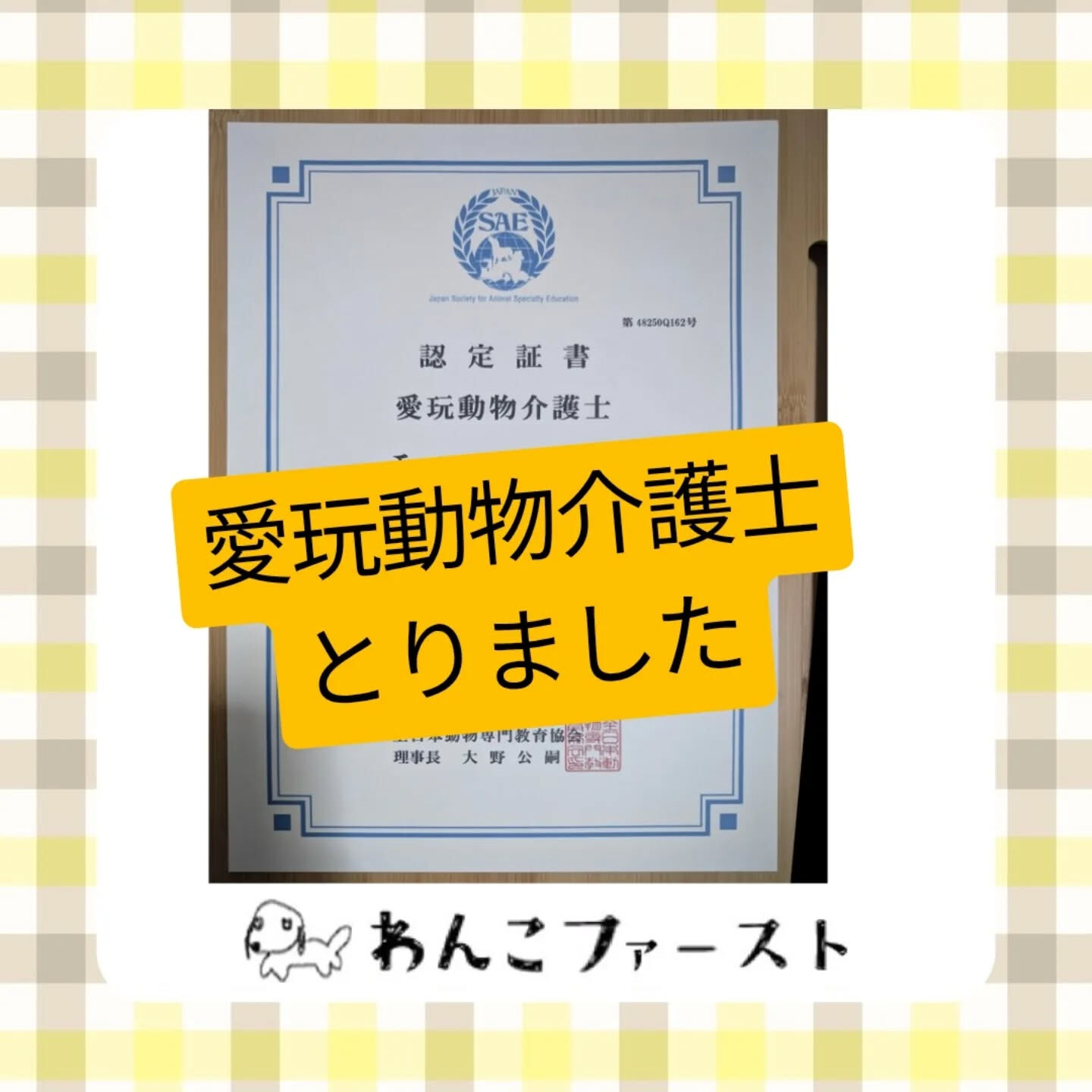 横浜市青葉区のペットシッターわんこファーストです♪
