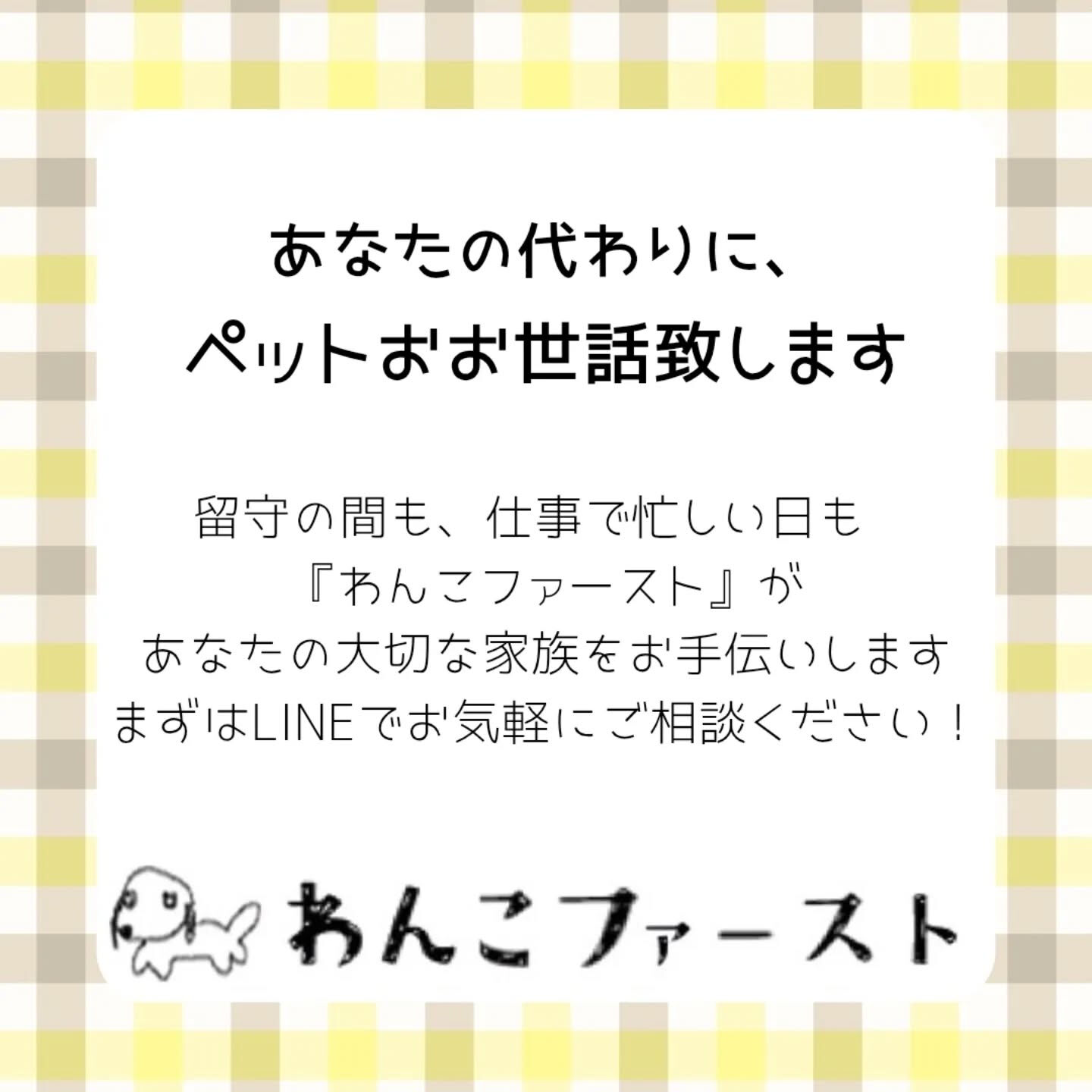 横浜市青葉区のペットシッターわんこファーストです♪