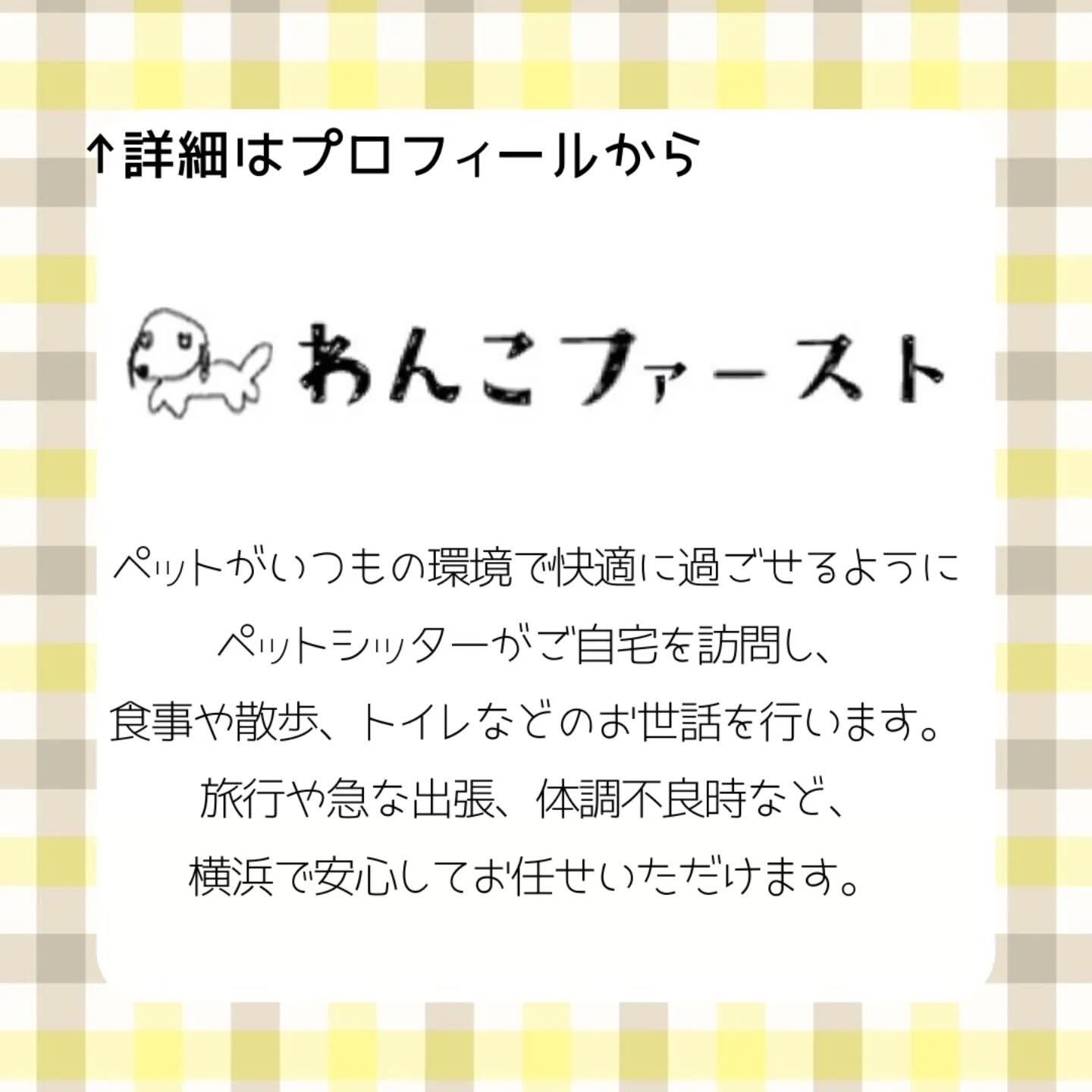 横浜市青葉区のペットシッターわんこファーストです♪