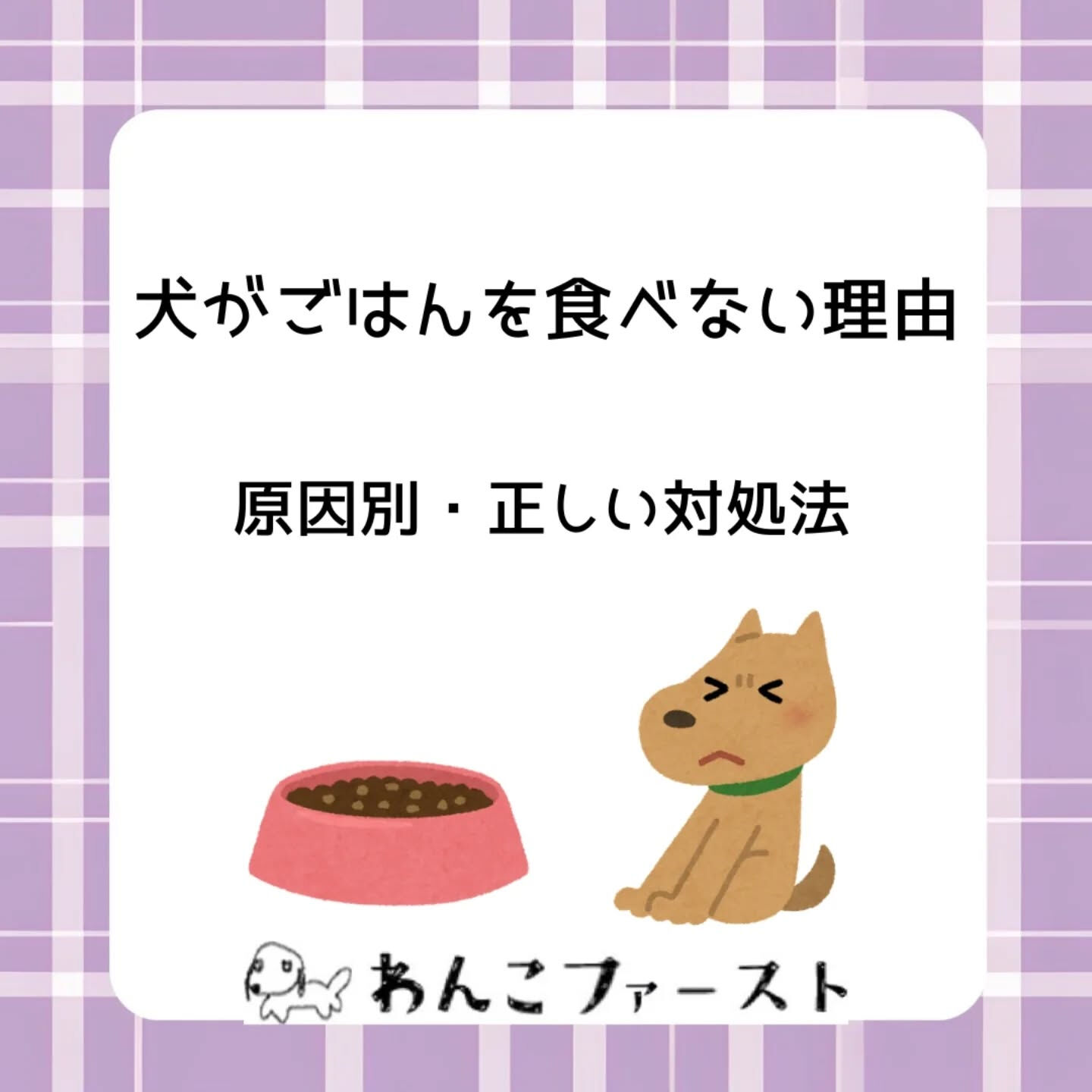 横浜市青葉区のペットシッターわんこファーストです♪