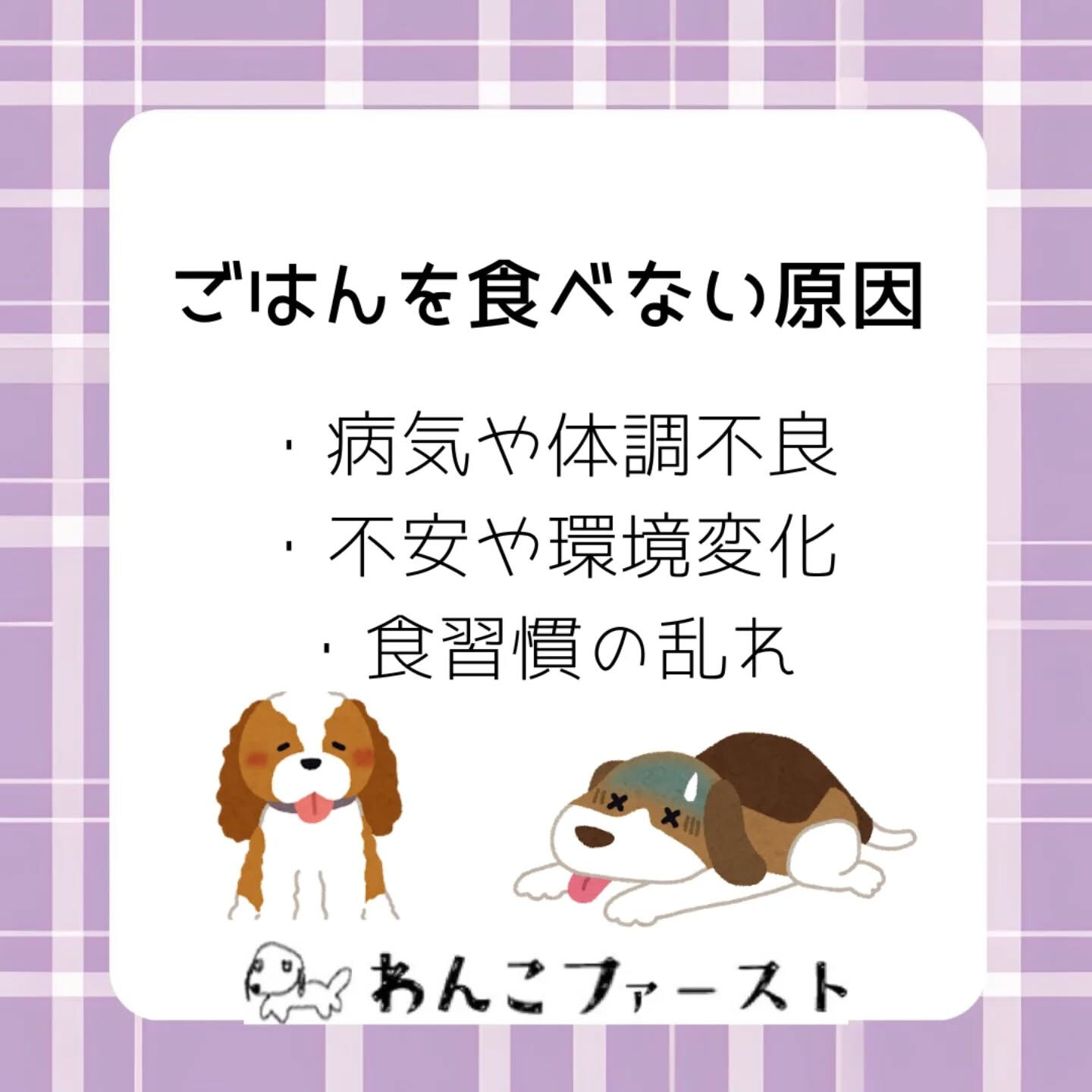 横浜市青葉区のペットシッターわんこファーストです♪