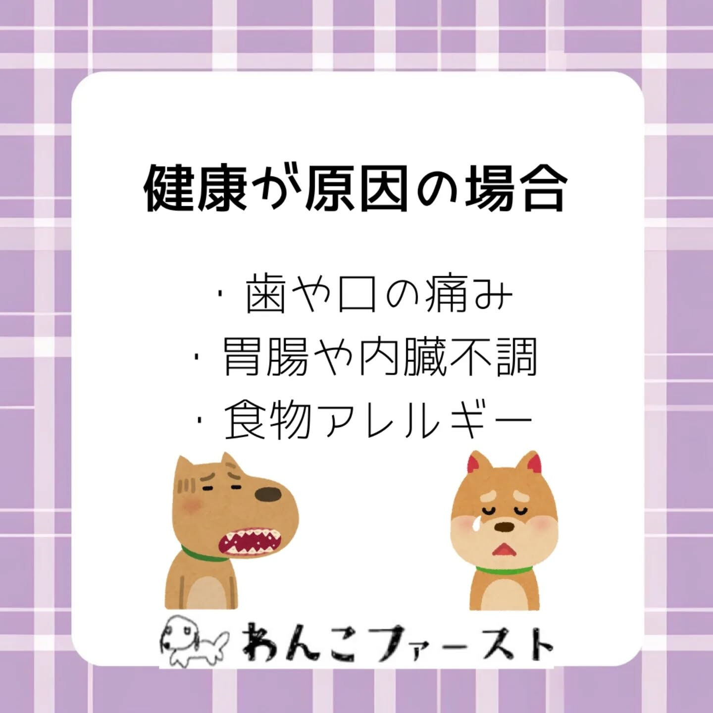 横浜市青葉区のペットシッターわんこファーストです♪