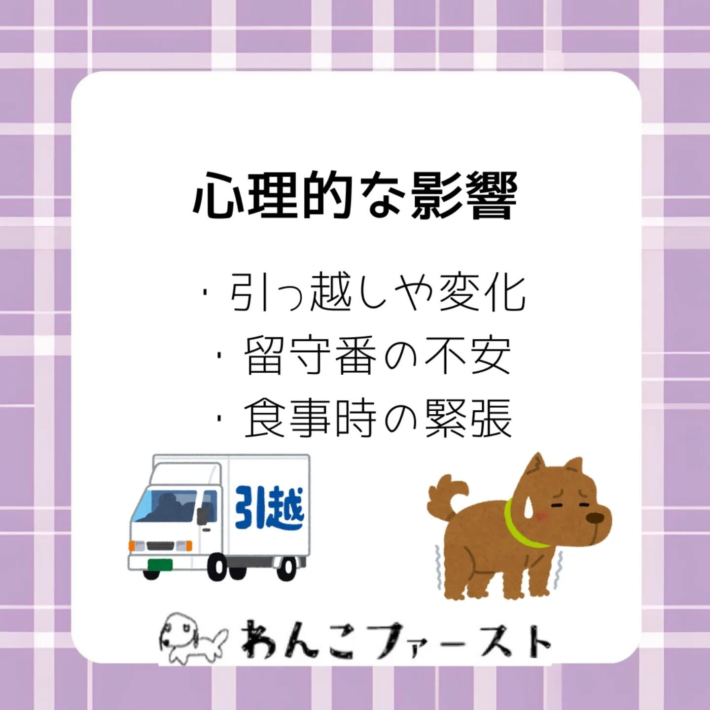 横浜市青葉区のペットシッターわんこファーストです♪