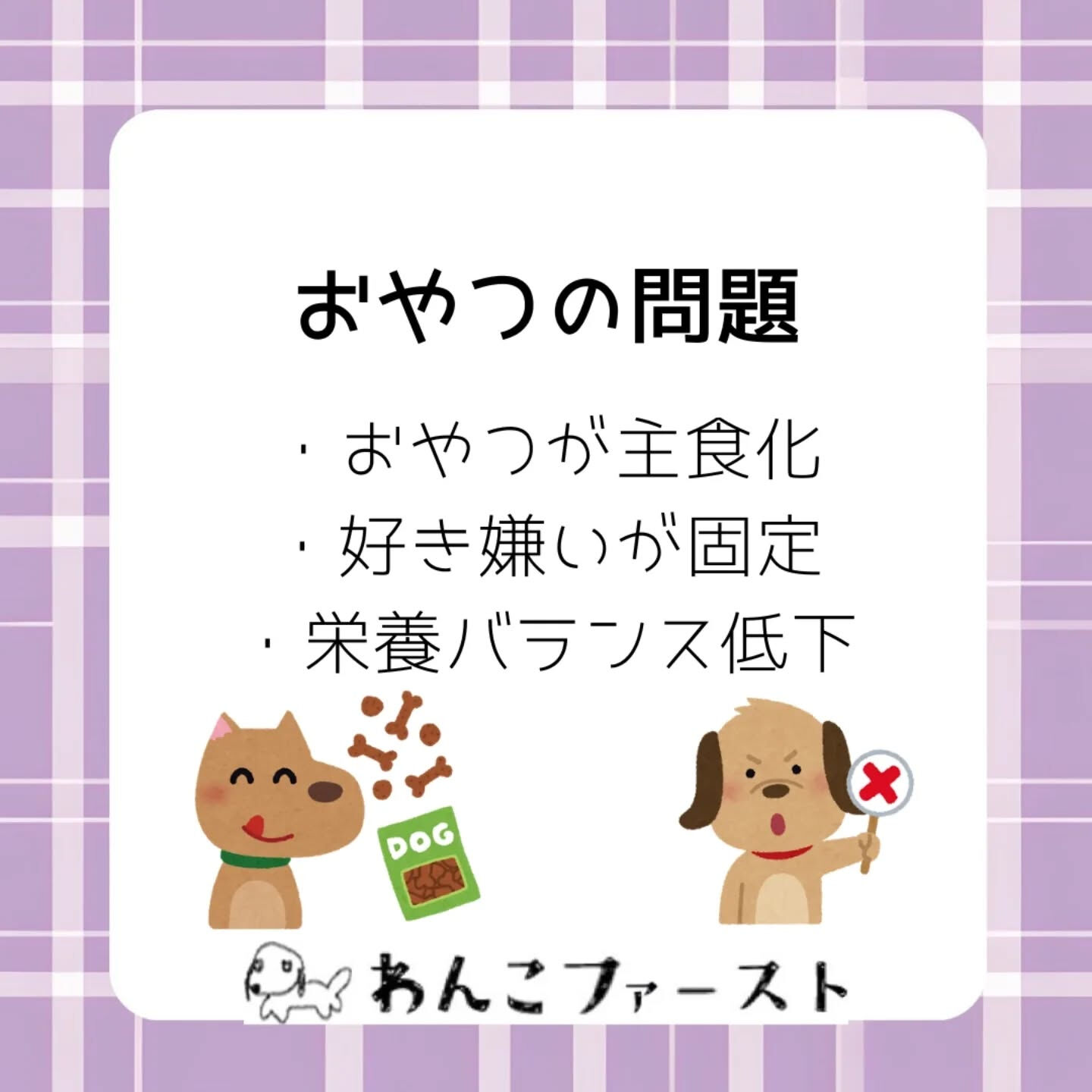 横浜市青葉区のペットシッターわんこファーストです♪
