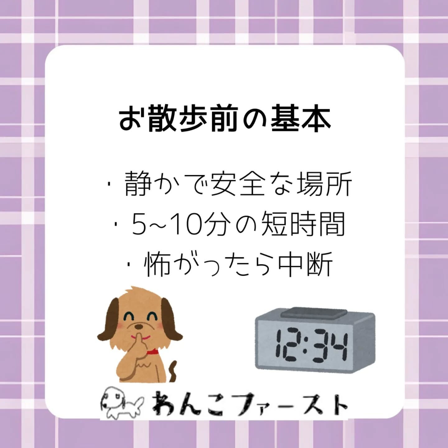 パピーのお散歩は