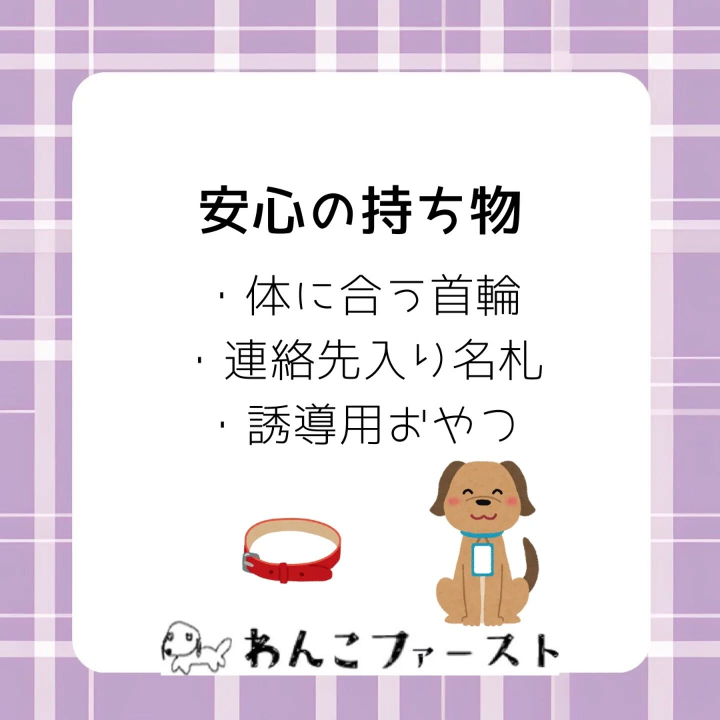 パピーのお散歩は