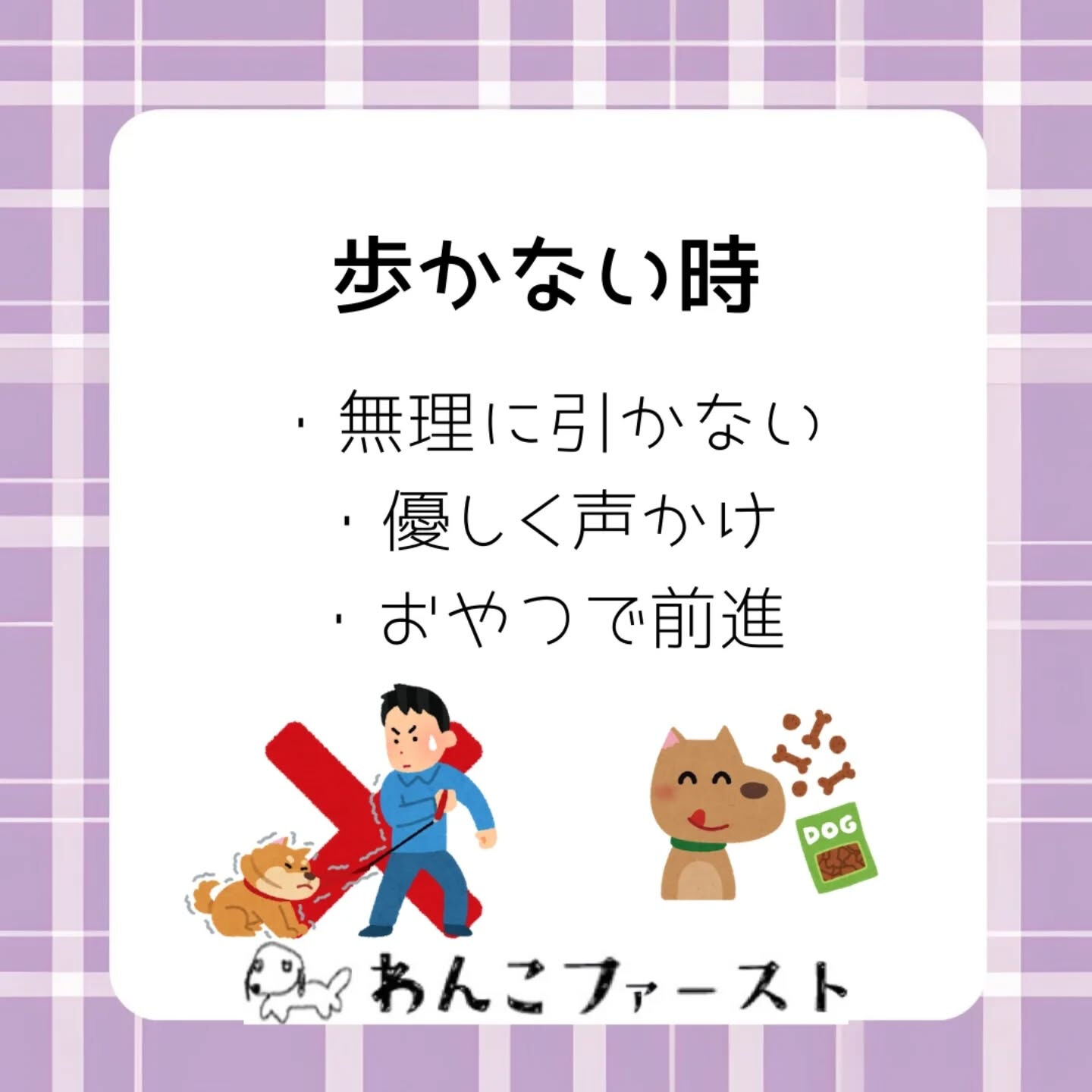 パピーのお散歩は
