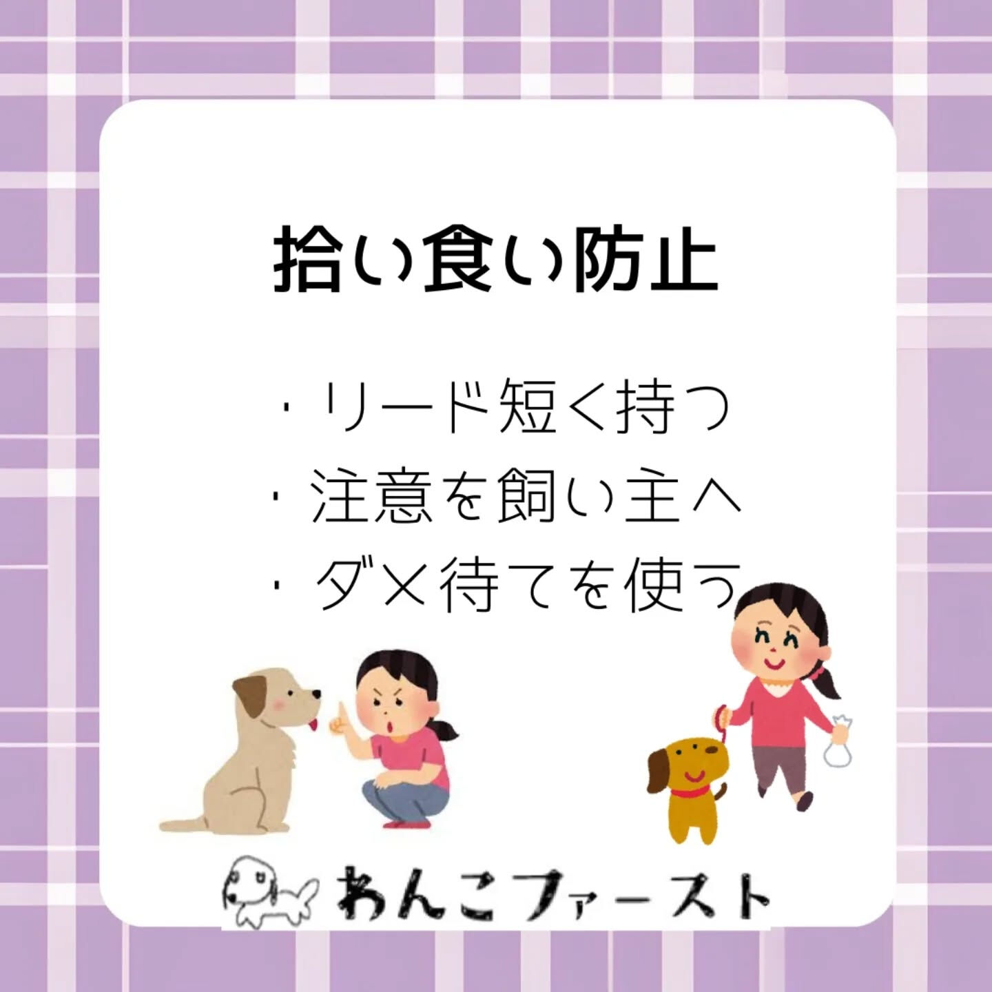 パピーのお散歩は