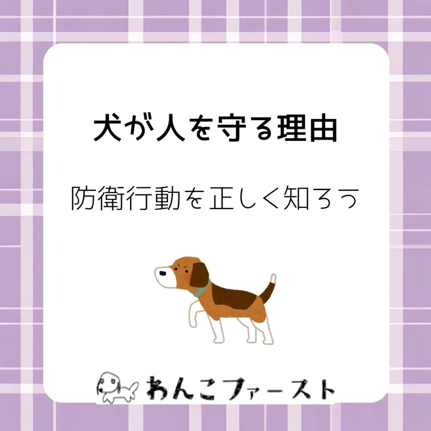 「家族に近づくと吠える…」