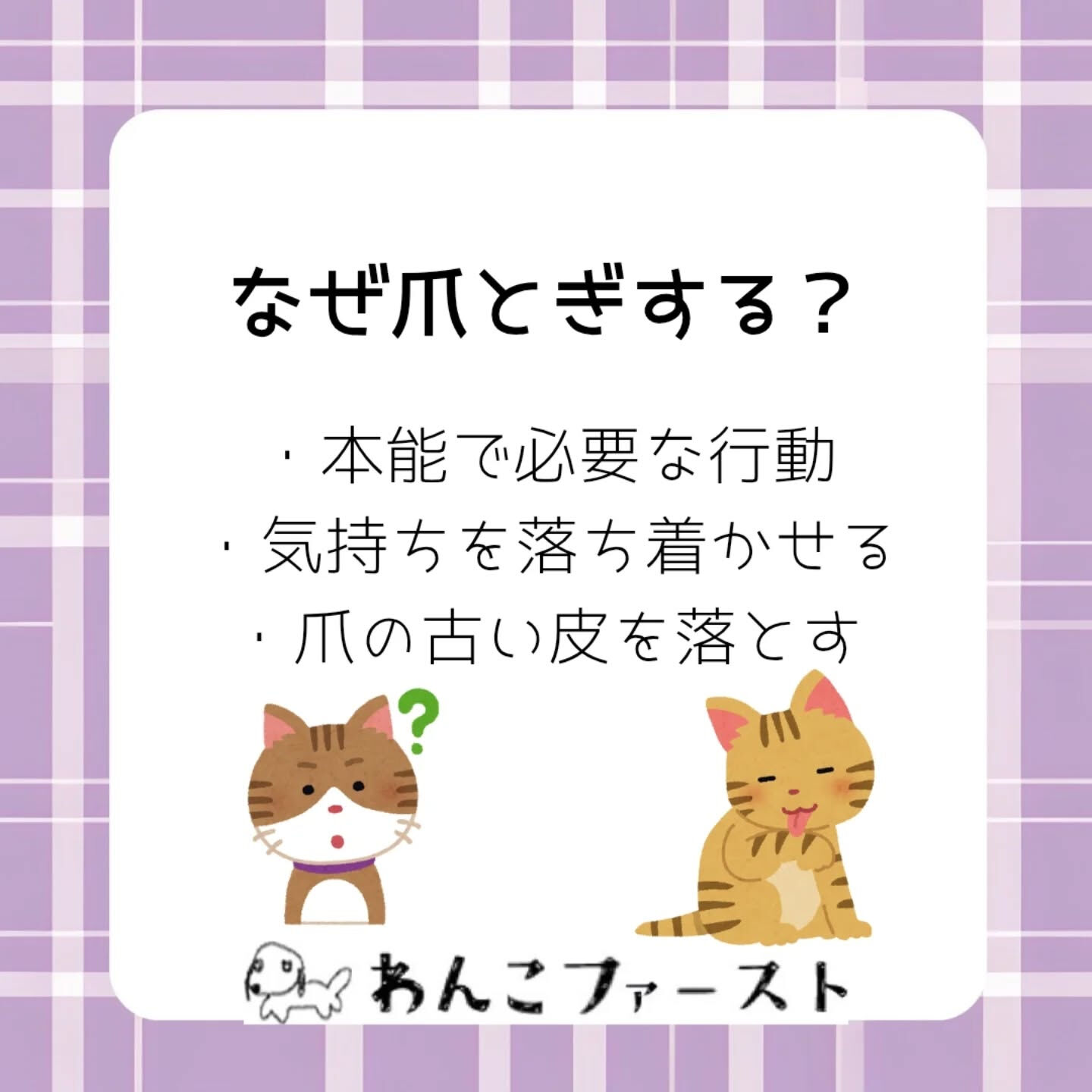 猫の爪とぎ、