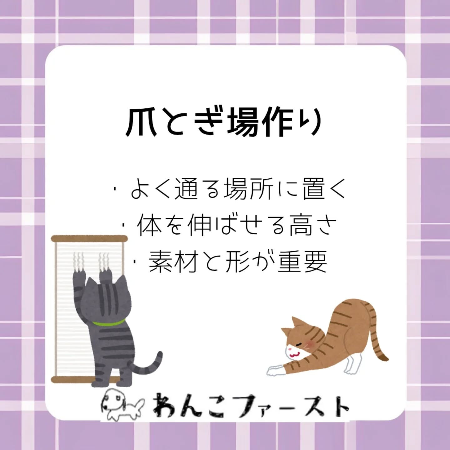 猫の爪とぎ、