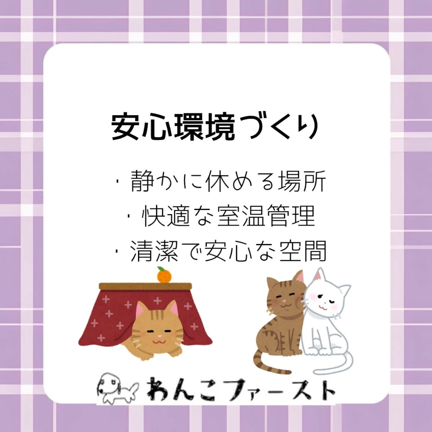 猫の爪とぎ、
