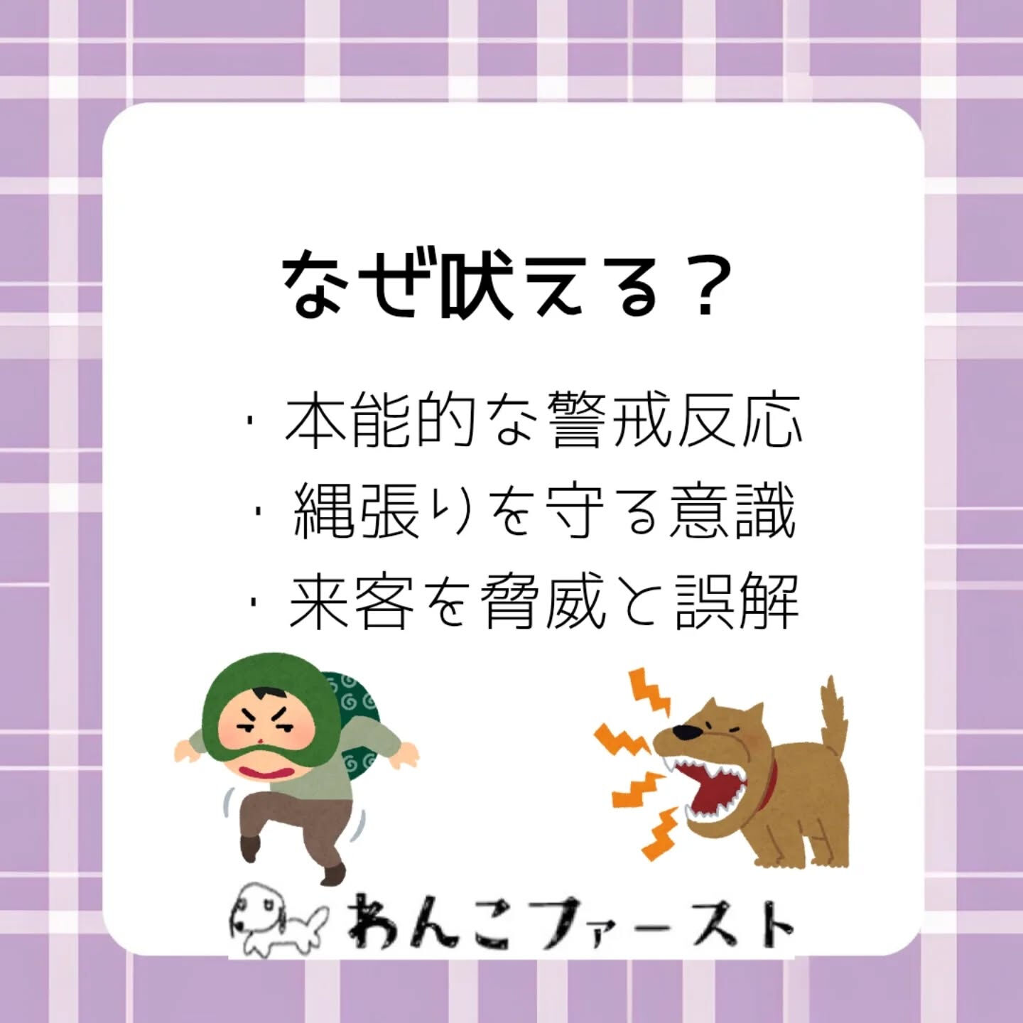 インターホンが鳴るたびに大騒ぎ…🐶💦