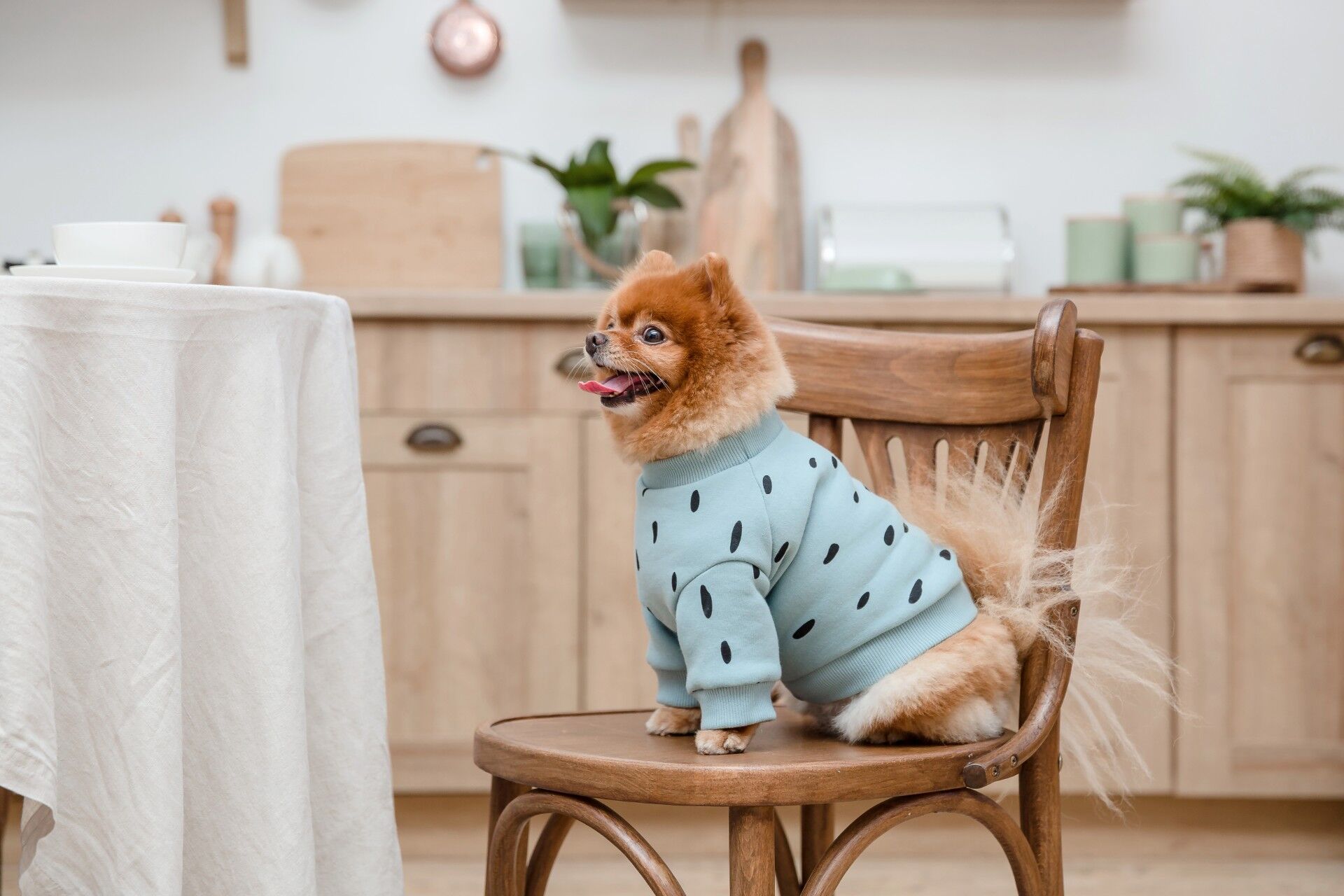AdobeStock_388273924