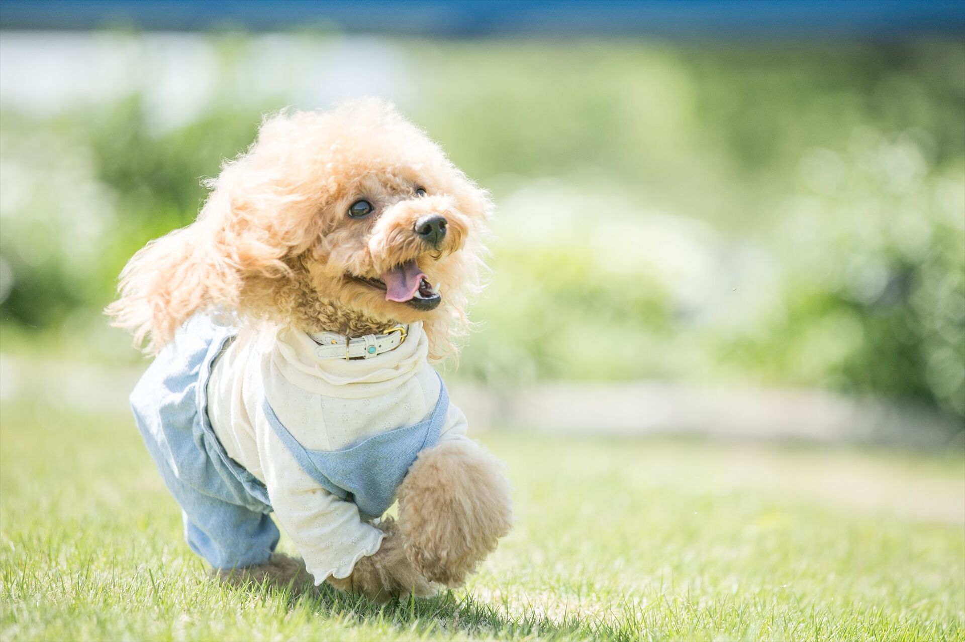 AdobeStock_192692396