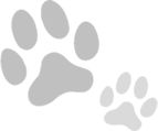 ペットの状況に応じたお世話を提供